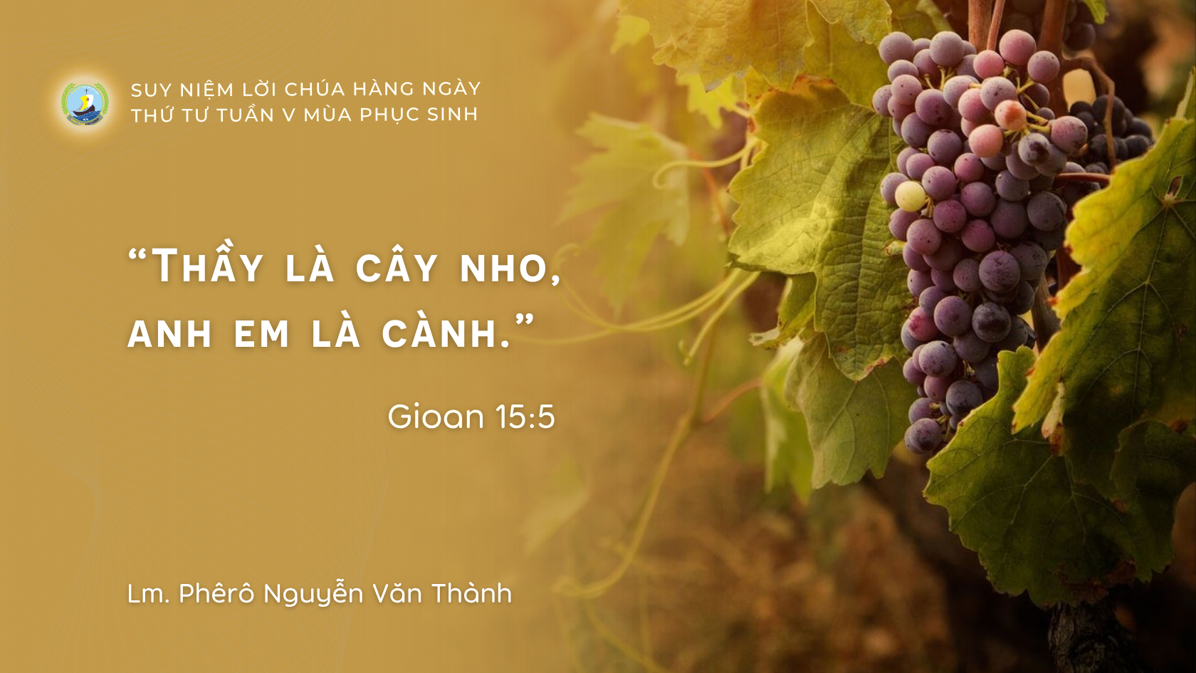Suy Niệm Hằng Ngày | Thứ Tư Tuần V Phục Sinh